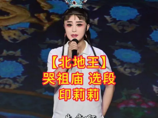 【北地王】哭祖庙选段印莉莉