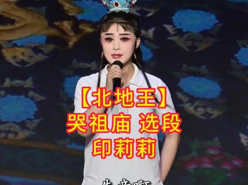 【北地王】哭祖庙选段印莉莉