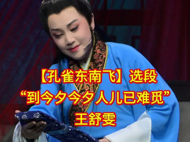 【孔雀东南飞】选段 王舒雯
