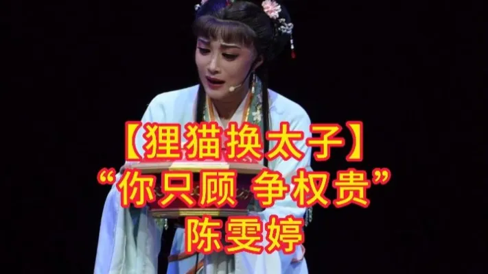 “你只顾争权贵”【狸猫换太子】陈雯婷