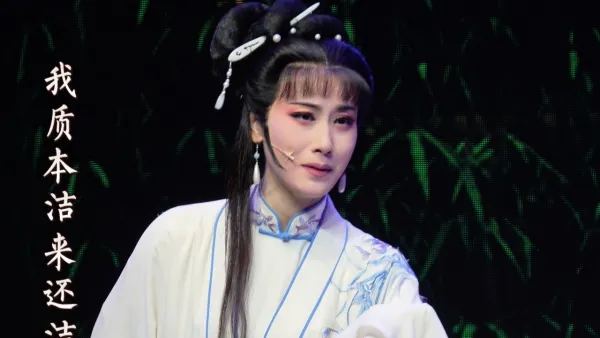 林妹妹最后的绝唱