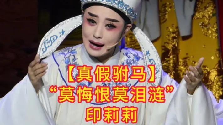 “莫悔恨莫泪涟”【真假驸马】印莉莉 #印莉莉 #越海越剧团 #真假驸马
