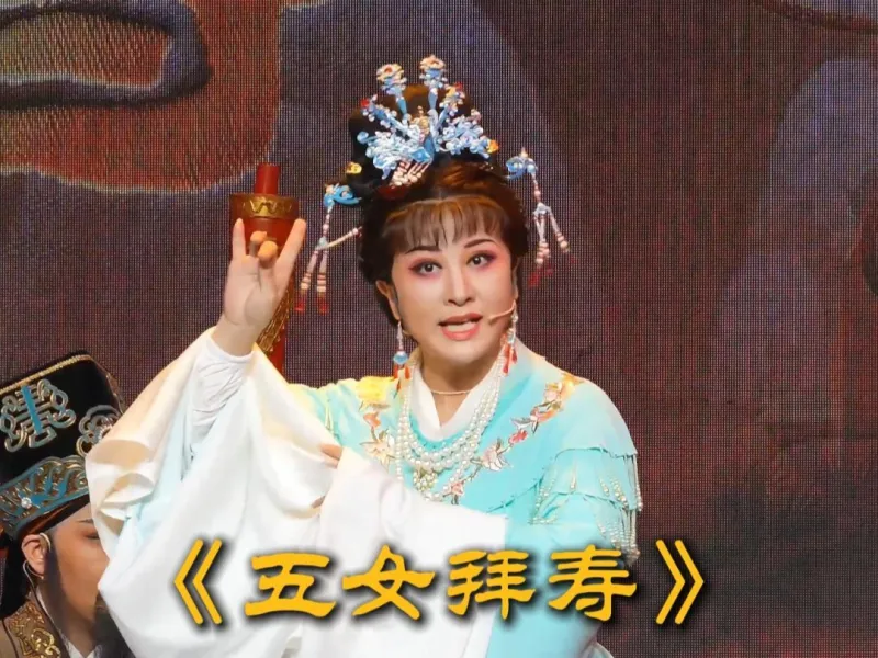 贱婢势利太猖狂
