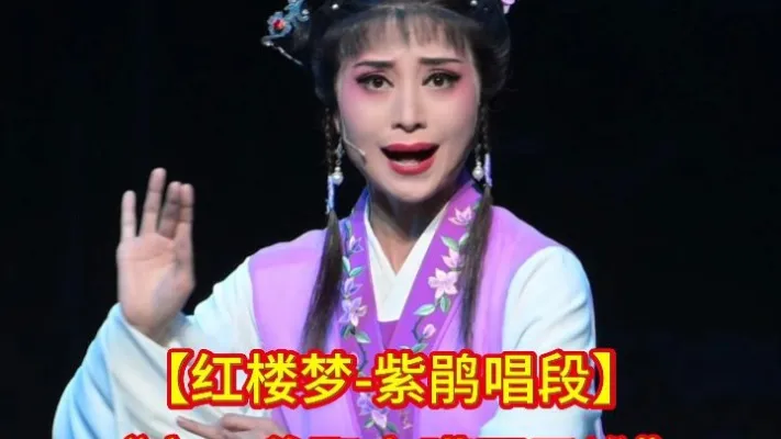 【红楼梦】”宝二爷娶妻瞒不了谁“徐秋英