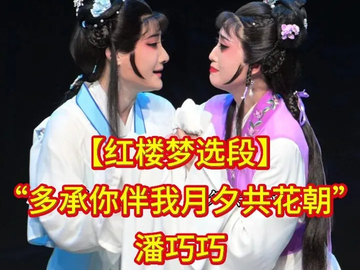 【红楼梦】选段，潘巧巧