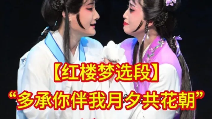 【红楼梦】选段，潘巧巧
