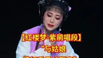 【红楼梦】选段，”情如手如长厮守“徐秋英