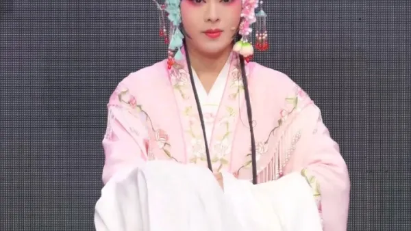 我本是生长在候门宰相家
