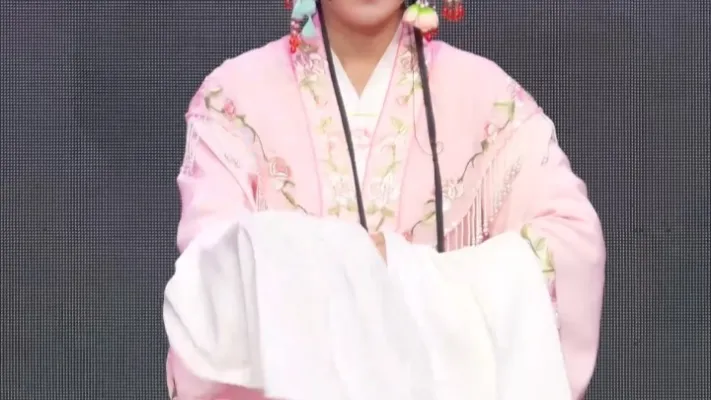 我本是生长在候门宰相家