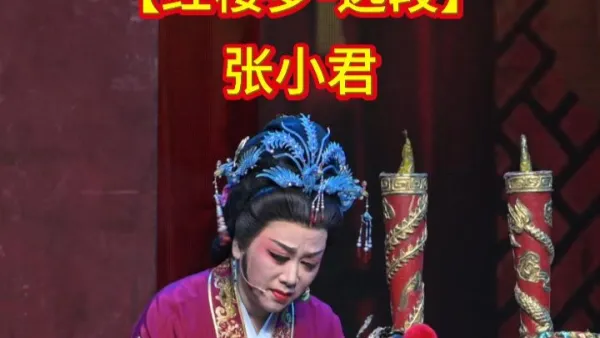 张小君【红楼梦】选段
