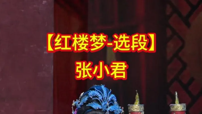 张小君【红楼梦】选段