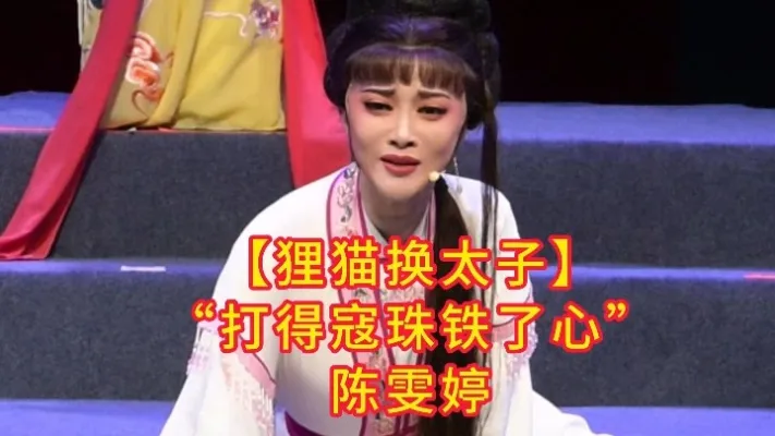陈雯婷【狸猫换太了】