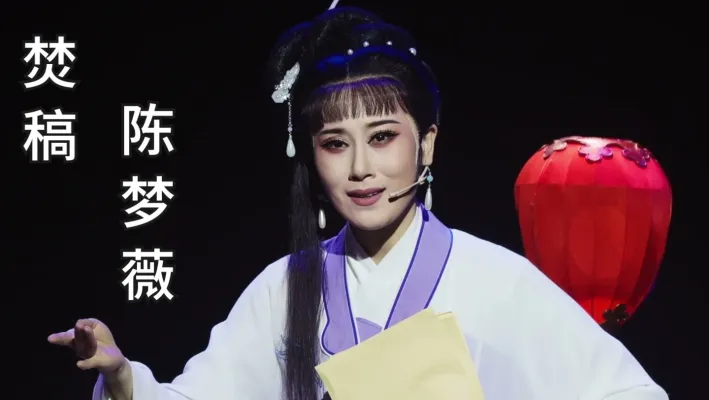 陈梦薇 | 红楼梦·黛玉焚稿
