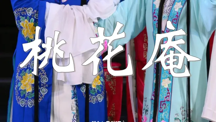 豫剧《桃花庵》崔文波饰窦氏，赵志鹏饰小道姑