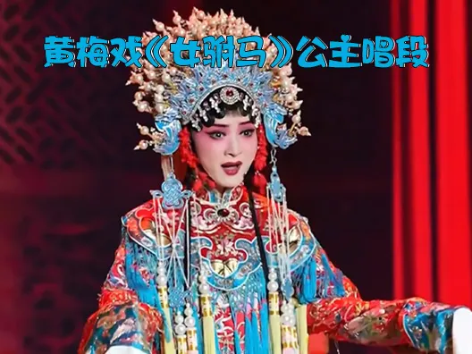 黄梅戏《女驸马》公主唱段“听她言来有道理”喜欢的点赞