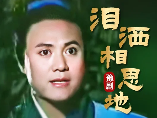 #泪洒相思地 #经典唱段 青云初遇王怜娟对唱