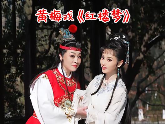 黄梅戏《红楼梦》选段“从今后再莫要立门外“