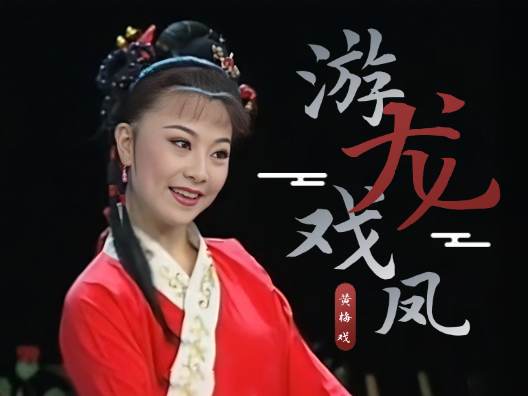 黄梅戏 《游龙戏凤》选段二，我爱上你家酒， 由演员何云、周珊演唱