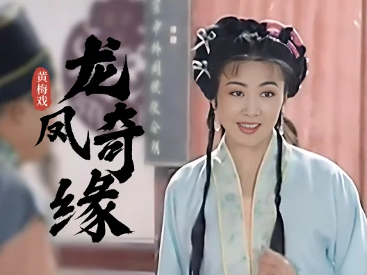黄梅戏《龙凤奇缘》，父母双亡叹孤苦选段