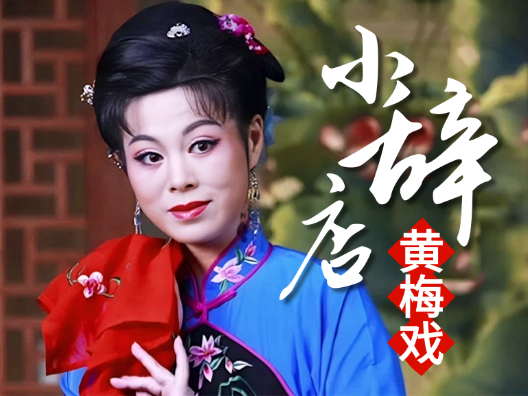 传统黄梅戏《小辞店》选段“花开花放花花世界“，金老师的精彩演绎