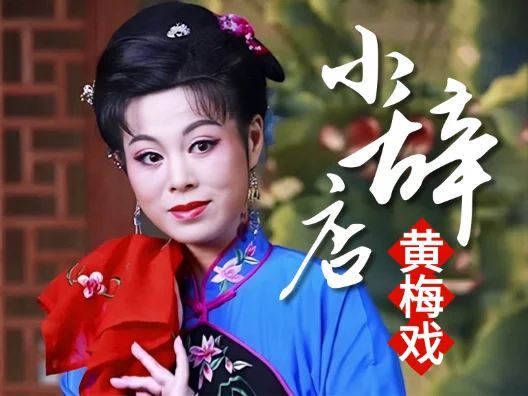 传统黄梅戏《小辞店》选段“花开花放花花世界“，金老师的精彩演绎