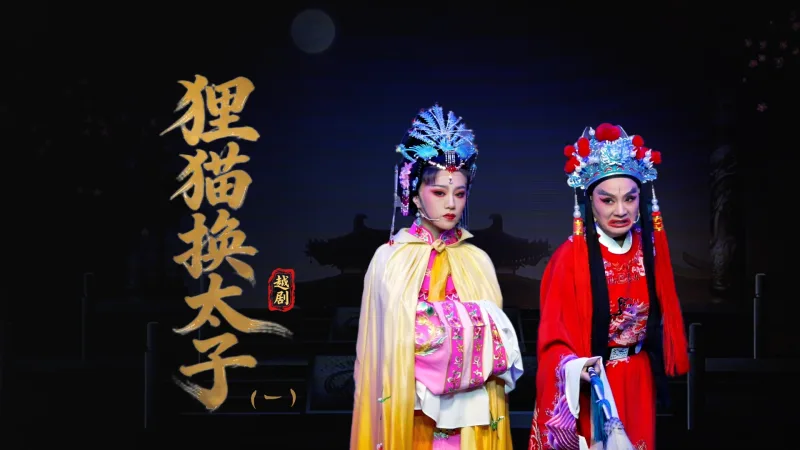 越剧《狸猫换太子》第一场：定计-台州中樾越剧团