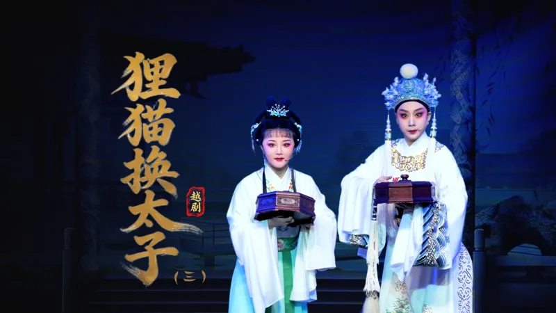 越剧《狸猫换太子》第三场：搜盒-台州中樾越剧团