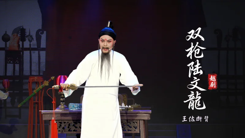 越剧《双枪陆文龙》第三场：王佐断臂-台州市桔香越剧团
