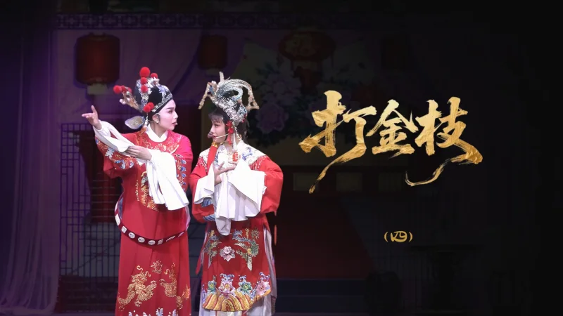 越剧《打金枝》-第四场