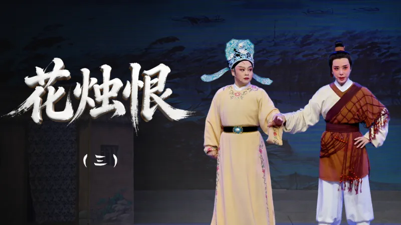 越剧《花烛恨》第三场-浙江省诸暨市越剧团