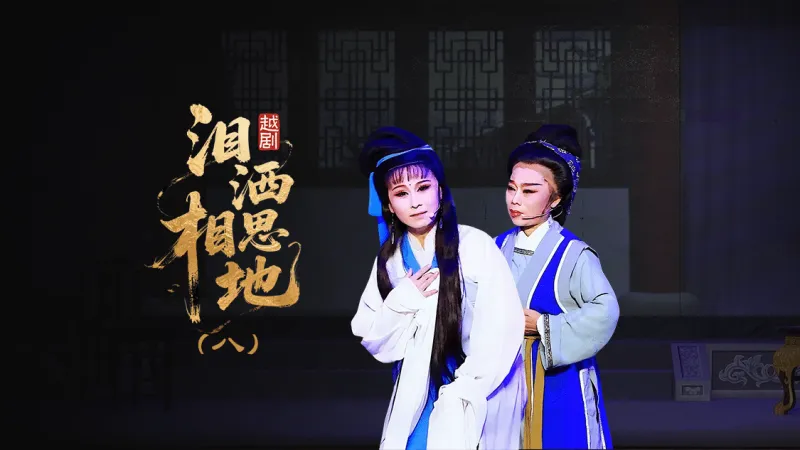 越剧《泪洒相思地》第八场：临终—浙江红艺越剧团