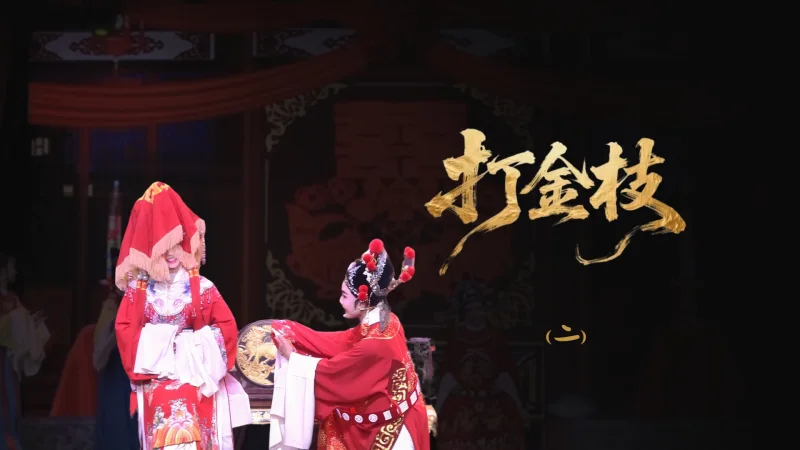 越剧《打金枝》-第二场