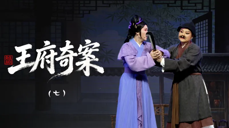 越剧《王府奇案》第七场：问舅-浙江省诸暨市越剧