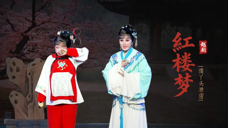 越剧《红楼梦》第八场：傻丫头泄密-宁波弘艺越剧团