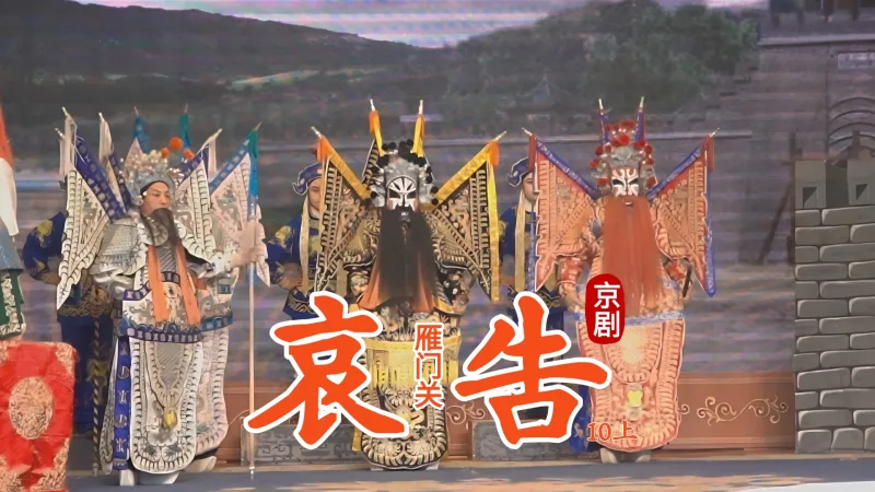 京剧《雁门关》-第十场上《哀告》