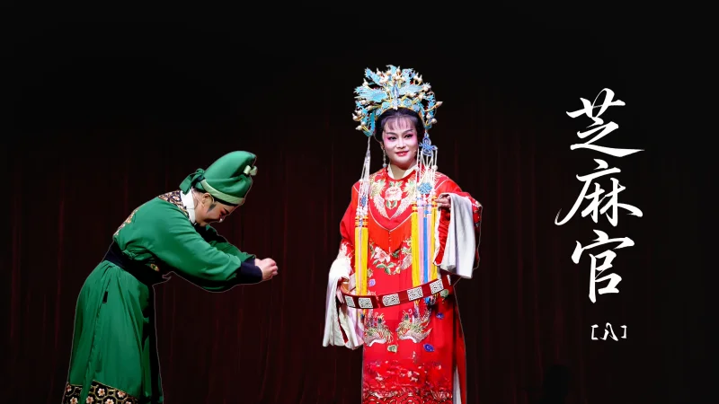 越剧《芝麻官》第八场：巧运筹谋骗诰命-桐庐县越剧传习中心