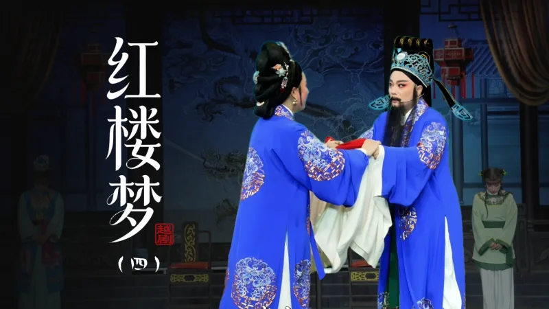 越剧《红楼梦》第四场：笞宝玉-台州市桔香越剧二团