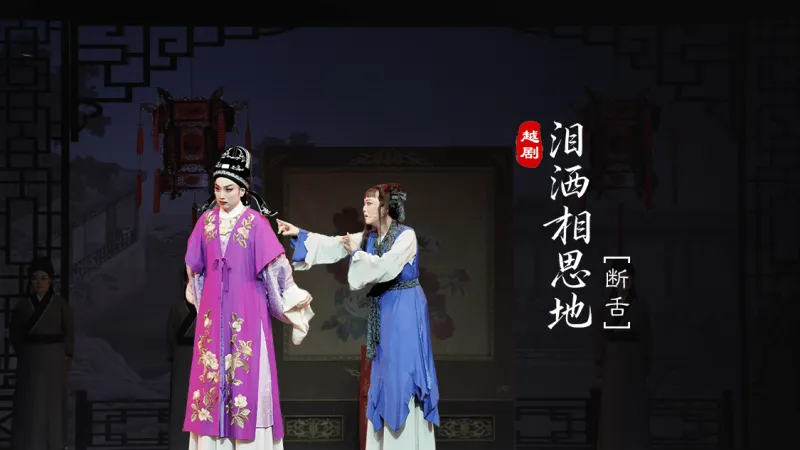 越剧《泪洒相思地》分场 第七场：断舌-温州市越剧院