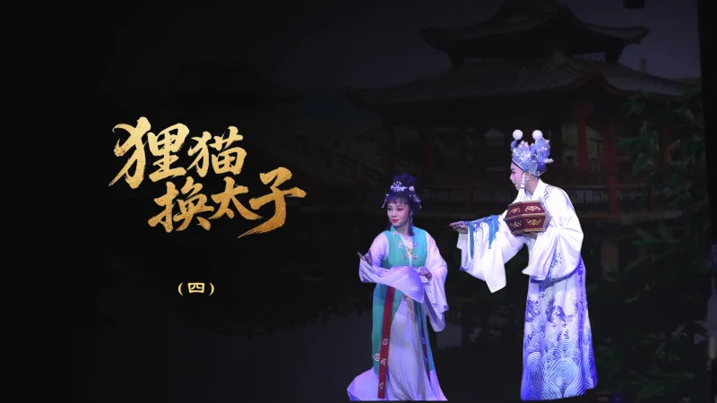 越剧《狸猫换太子》-第三场
