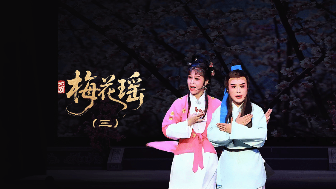 越剧《梅花瑶》第三场：佳期—浙江红艺越剧团