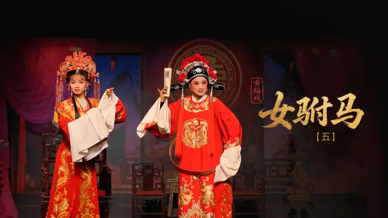 黄梅戏《女驸马》第五场-安徽芜湖黄梅戏剧团
