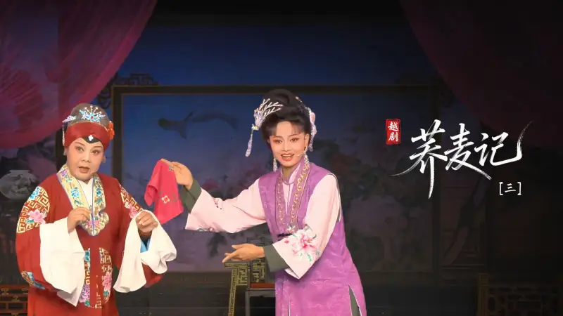 黄梅戏《荞麦记》第三场-安徽芜湖黄梅戏剧团