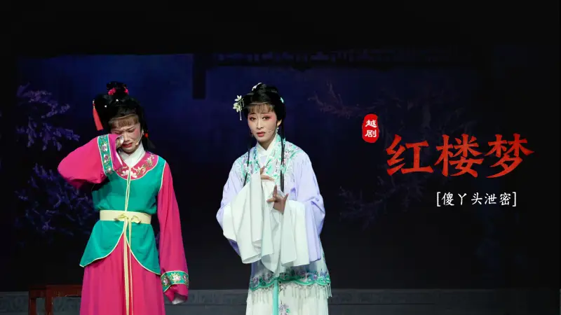 越剧《红楼梦》第八场：傻丫头泄密-嵊州市越剧团