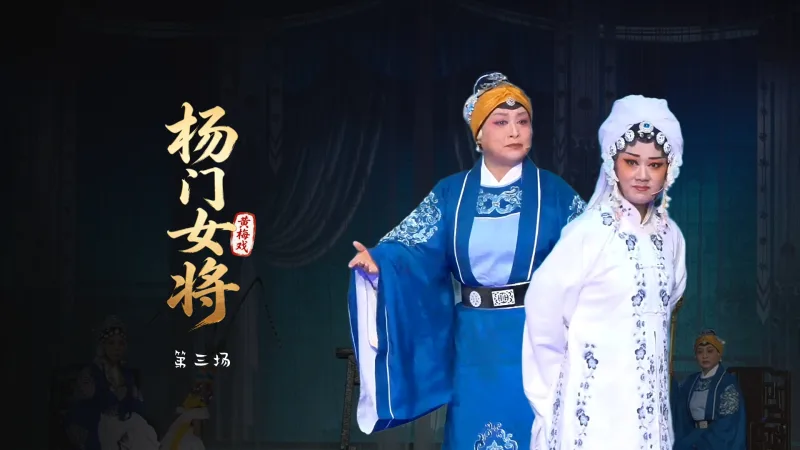 黄梅戏《杨门女将》第三场-安徽芜湖黄梅戏剧团