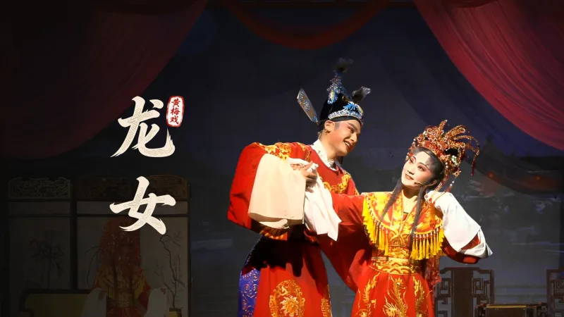 黄梅戏《龙女》完整版-安徽芜湖黄梅戏剧团