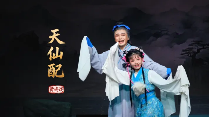 黄梅戏《天仙配》完整版-安徽芜湖黄梅戏剧团