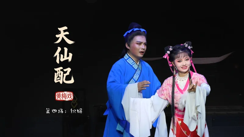 黄梅戏《天仙配》第四场：织娟-安徽芜湖黄梅戏剧团