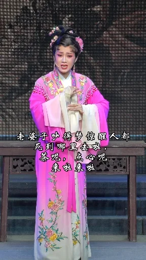 赵玲玲 越剧《双轿接亲》唱段
