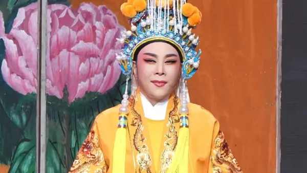 张梅花徐派越听越过瘾《越剧·孟丽君》人言潘安美书生、#宁波小百花越剧团 #越剧孟丽君 #张小君 #弘扬戏曲文化 #越剧小虎
