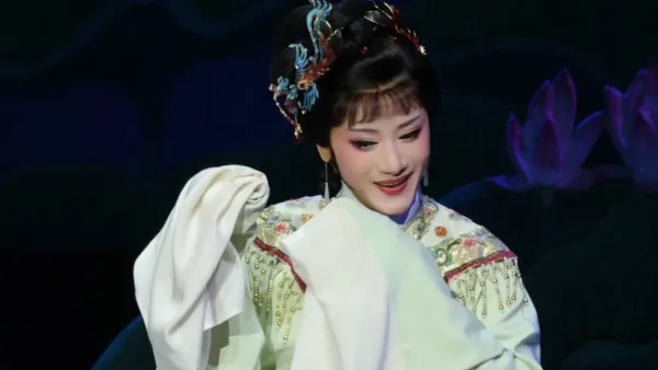 岂不闻琴中久感张郎意